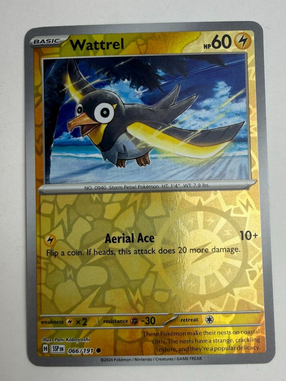 Wattrel 066/191 Common Surging Sparks Pokemon Reverse Holo Near Mint